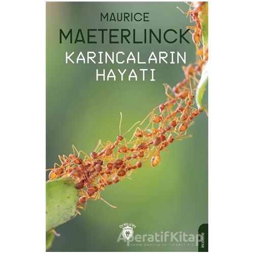 Karıncaların Hayatı - Maurice Maeterlinck - Dorlion Yayınları