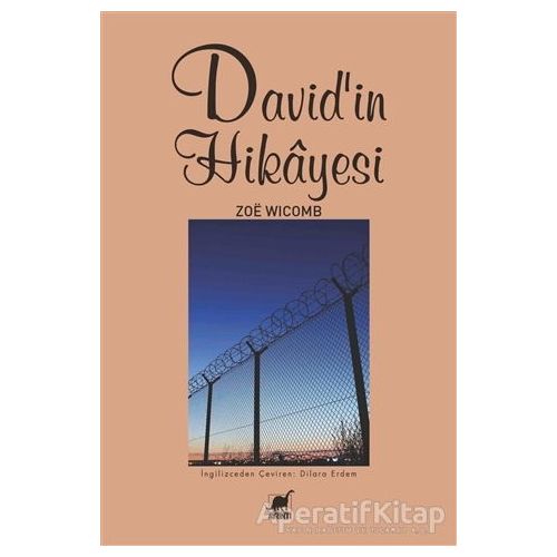 Davidin Hikayesi - Zoe Wicomb - Ayrıntı Yayınları