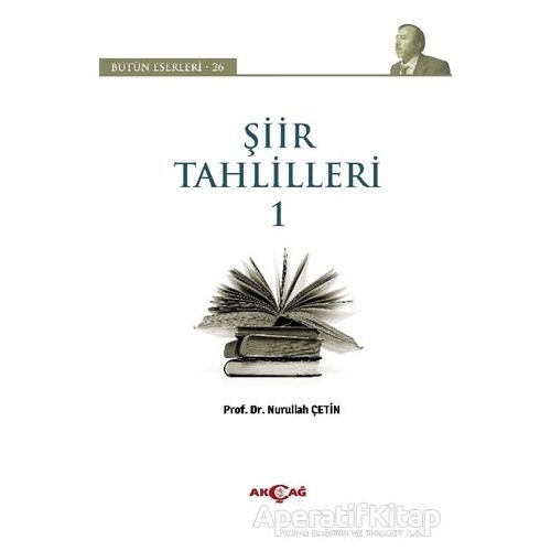 Şiir Tahlilleri 1 - Nurullah Çetin - Akçağ Yayınları