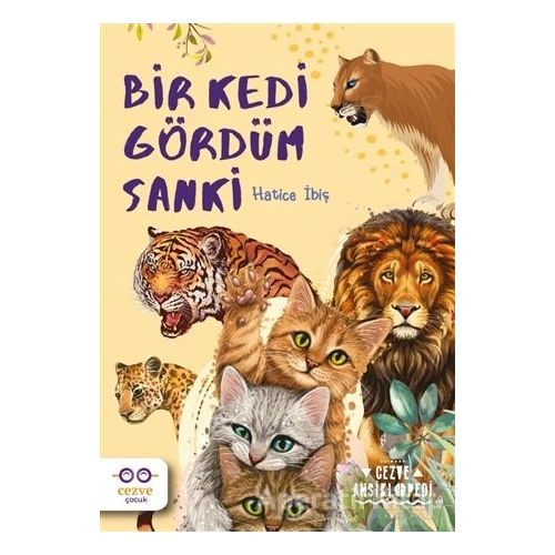 Bir Kedi Gördüm Sanki - Hatice İbiş - Cezve Çocuk