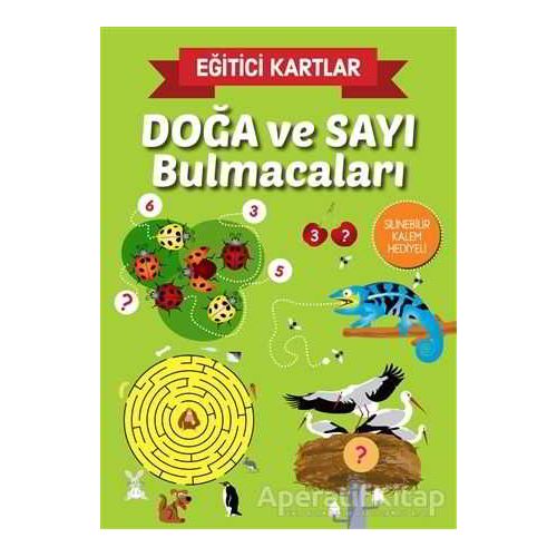 Doğa ve Sayı Bulmacaları - Eğitici Kartlar - Kolektif - Teleskop Popüler Bilim