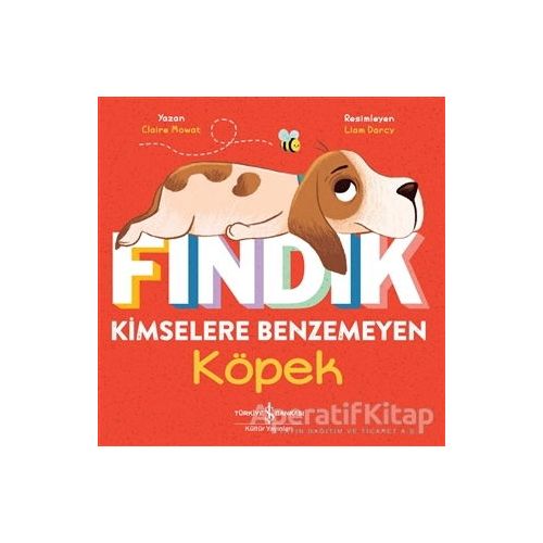 Fındık Kimselere Benzemeyen Köpek - Claire Mowat - İş Bankası Kültür Yayınları