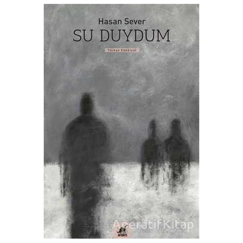 Su Duydum - Hasan Sever - Ayrıntı Yayınları
