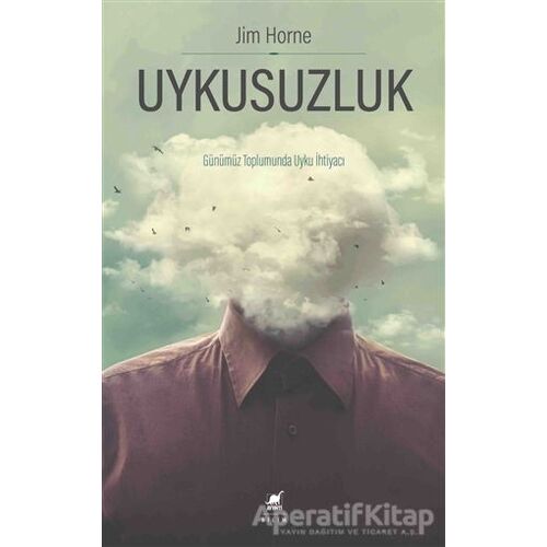 Uykusuzluk - Jim Horne - Ayrıntı Yayınları