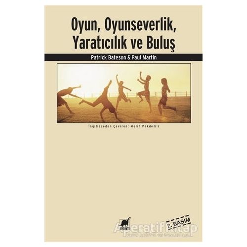 Oyun, Oyunbazlık, Yaratıcılık ve İnovasyon - Paul Martin - Ayrıntı Yayınları