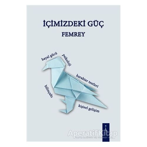 İçimizdeki Güç - Femrey - İkinci Adam Yayınları