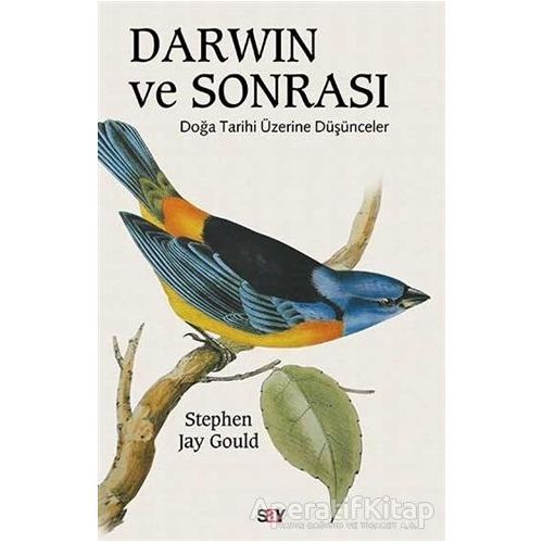 Darwin ve Sonrası - Stephen Jay Gould - Say Yayınları