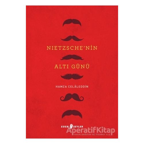Nietzsche’nin Altı Günü - Hamza Celaleddin - Edebi Şeyler