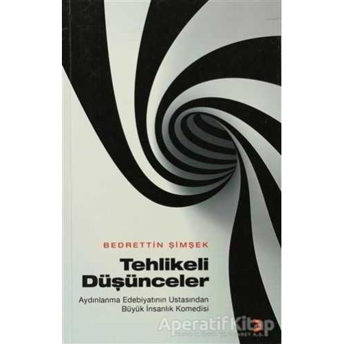 Tehlikeli Düşünceler - Bedrettin Şimşek - Cinius Yayınları