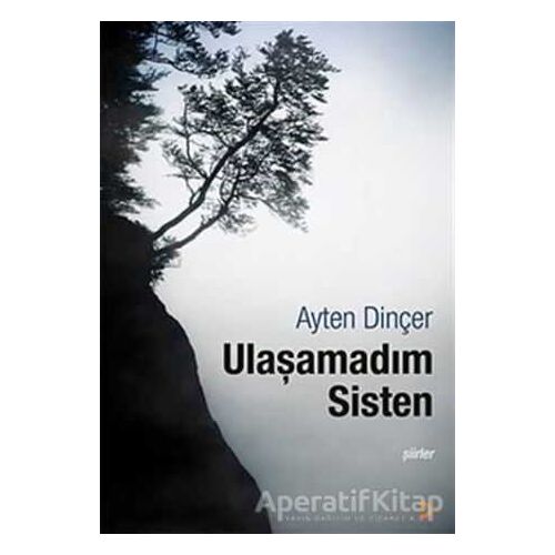 Ulaşamadım Sisten - Ayten Dinçer - Cinius Yayınları