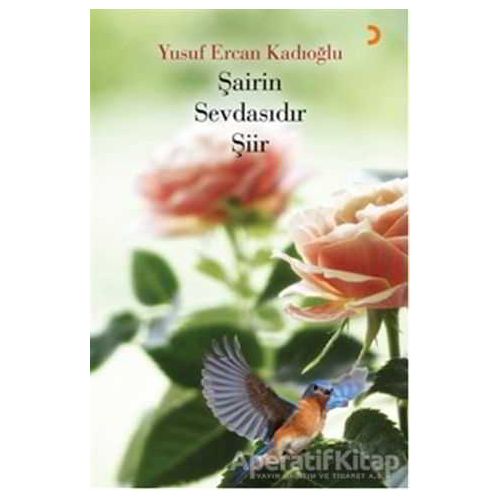 Şairin Sevdasıdır Şiir - Yusuf Ercan Kadıoğlu - Cinius Yayınları