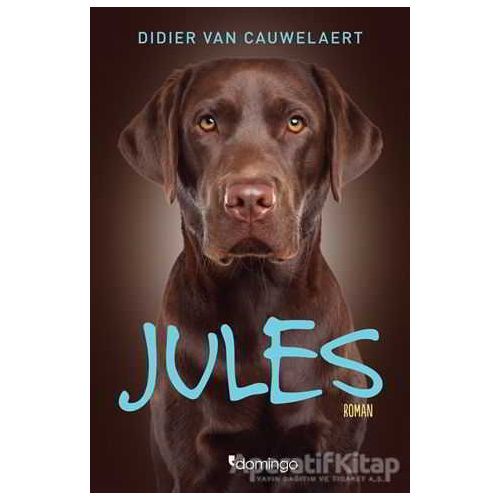 Jules - Didier von Cauwelaert - Domingo Yayınevi
