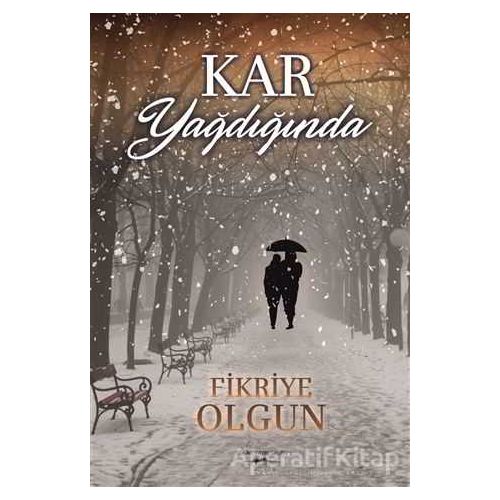 Kar Yağdığında - Fikriye Olgun - Sokak Kitapları Yayınları