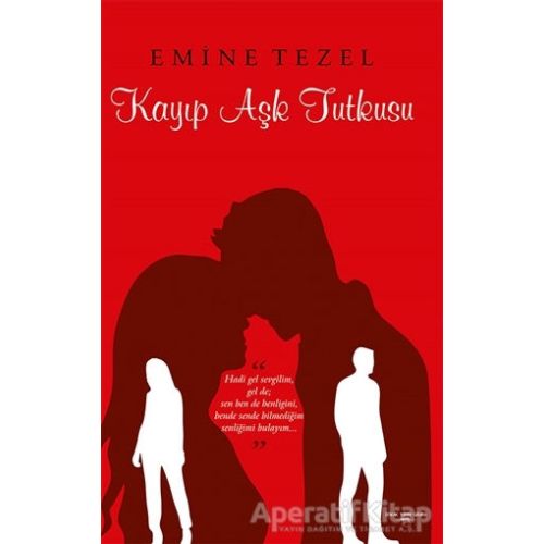 Kayıp Aşk Tutkusu - Emine Tezel - Sokak Kitapları Yayınları