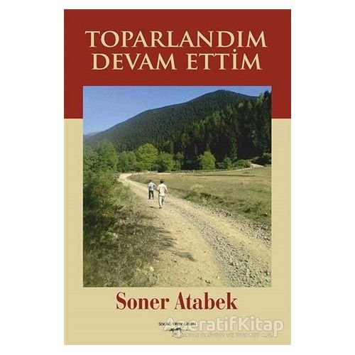 Toparlandım Devam Ettim - Soner Atabek - Sokak Kitapları Yayınları