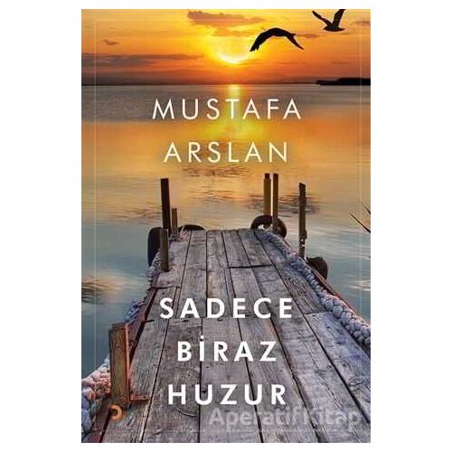 Sadece Biraz Huzur - Mustafa Arslan - Cinius Yayınları
