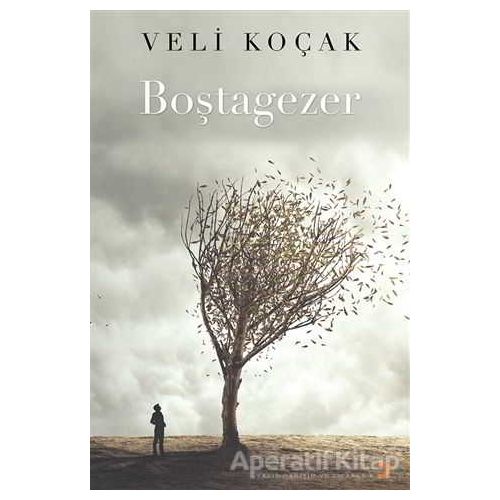 Boştagezer - Veli Koçak - Cinius Yayınları