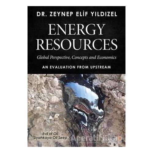 Energy Resources - Zeynep Elif Yıldızel - Cinius Yayınları