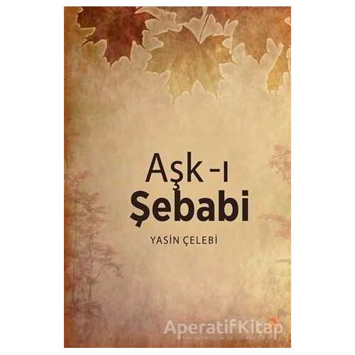 Aşk-ı Şebabi - Yasin Çelebi - Cinius Yayınları