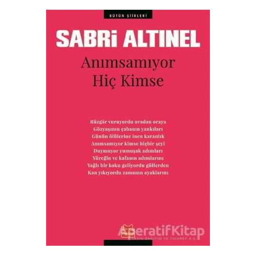 Anımsamıyor Hiç Kimse - Sabri Altınel - Kırmızı Kedi Yayınevi