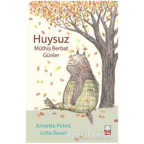 Huysuz - Müthiş Berbat Günler - Annette Pehnt - Kırmızı Kedi Çocuk