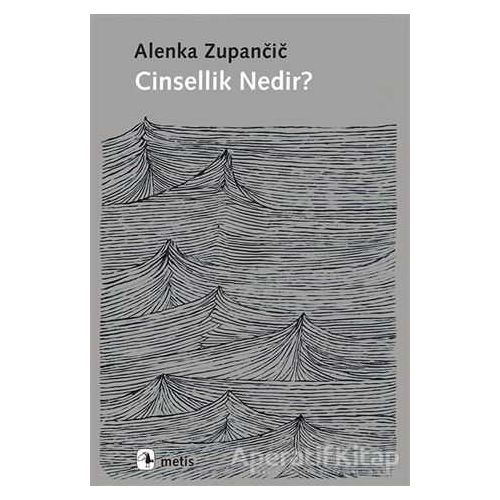 Cinsellik Nedir? - Alenka Zupancic - Metis Yayınları