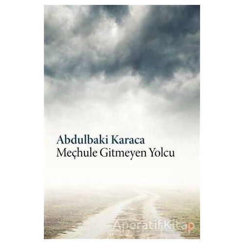 Meçhule Gitmeyen Yolcu - Abdulbaki Karaca - Cinius Yayınları