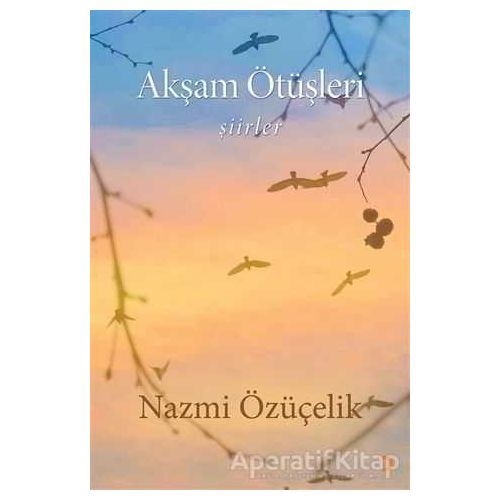 Akşam Ötüşleri - Nazmi Özüçelik - Cinius Yayınları