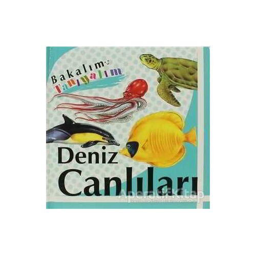 Bakalım Tanıyalım: Deniz Canlıları - Kolektif - Final Kültür Sanat Yayınları