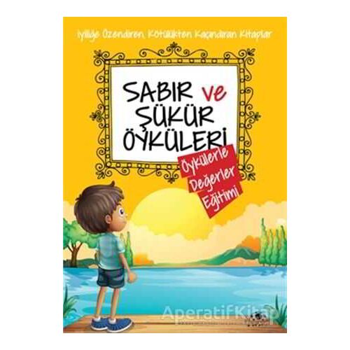 Sabır ve Şükür Öyküleri - Saide Nur Dikmen - Uğurböceği Yayınları