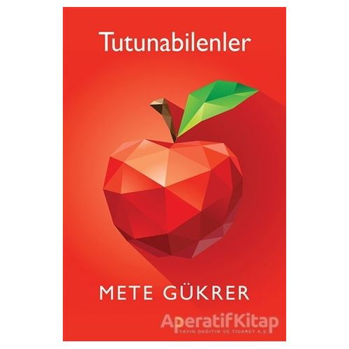 Tutunabilenler - Mete Gükrer - Cinius Yayınları