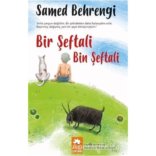 Bir Şeftali Bin Şeftali - Samed Behrengi - Eksik Parça Yayınları