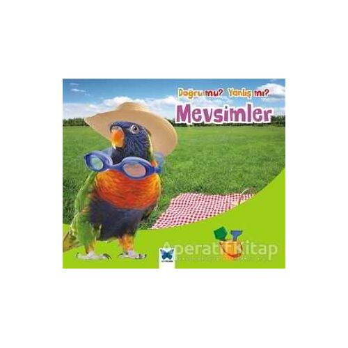 Doğru mu? Yanlış mı?: Mevsimler - Daniel Nunn - Mavi Kelebek Yayınları