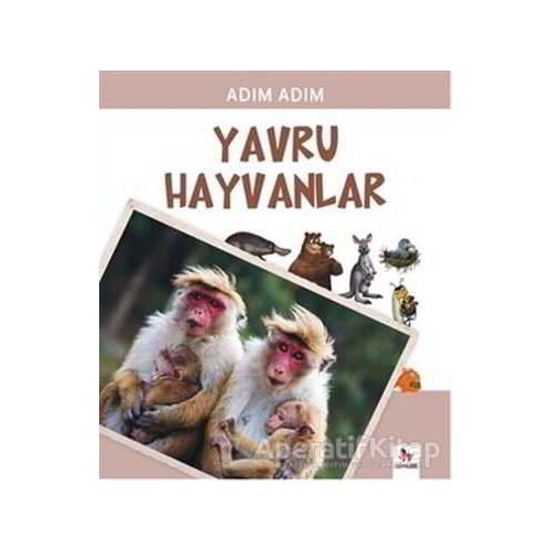 Yavru Hayvanlar - Fiametta Dogi - Almidilli