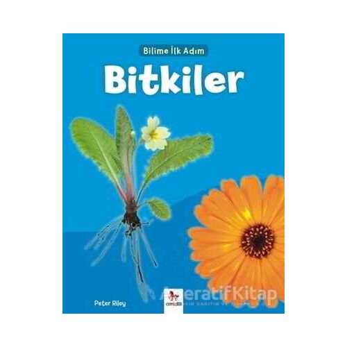 Bitkiler - Bilime İlk Adım - Peter Riley - Almidilli