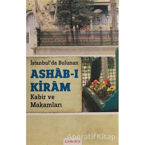 İstanbulda Bulunan Ashab-ı Kiram Kabir ve Makamları - Cafer E. Babadağlı - Çamlıca Basım Yayın